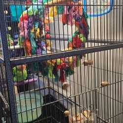 Large Bird Cage