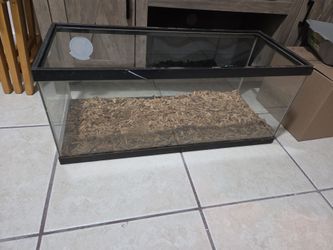 20 gal tank