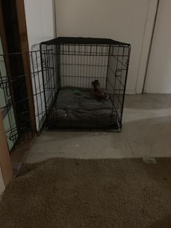 Dog kennel