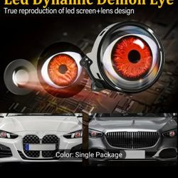 Eye Lights