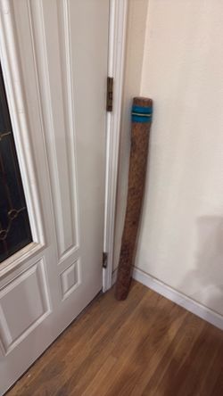 Rain Stick