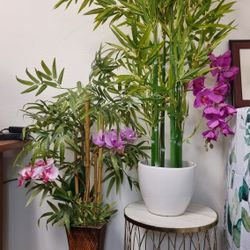 Artificial Bamboo Plants