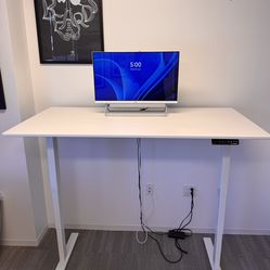 EVO Standing Desk