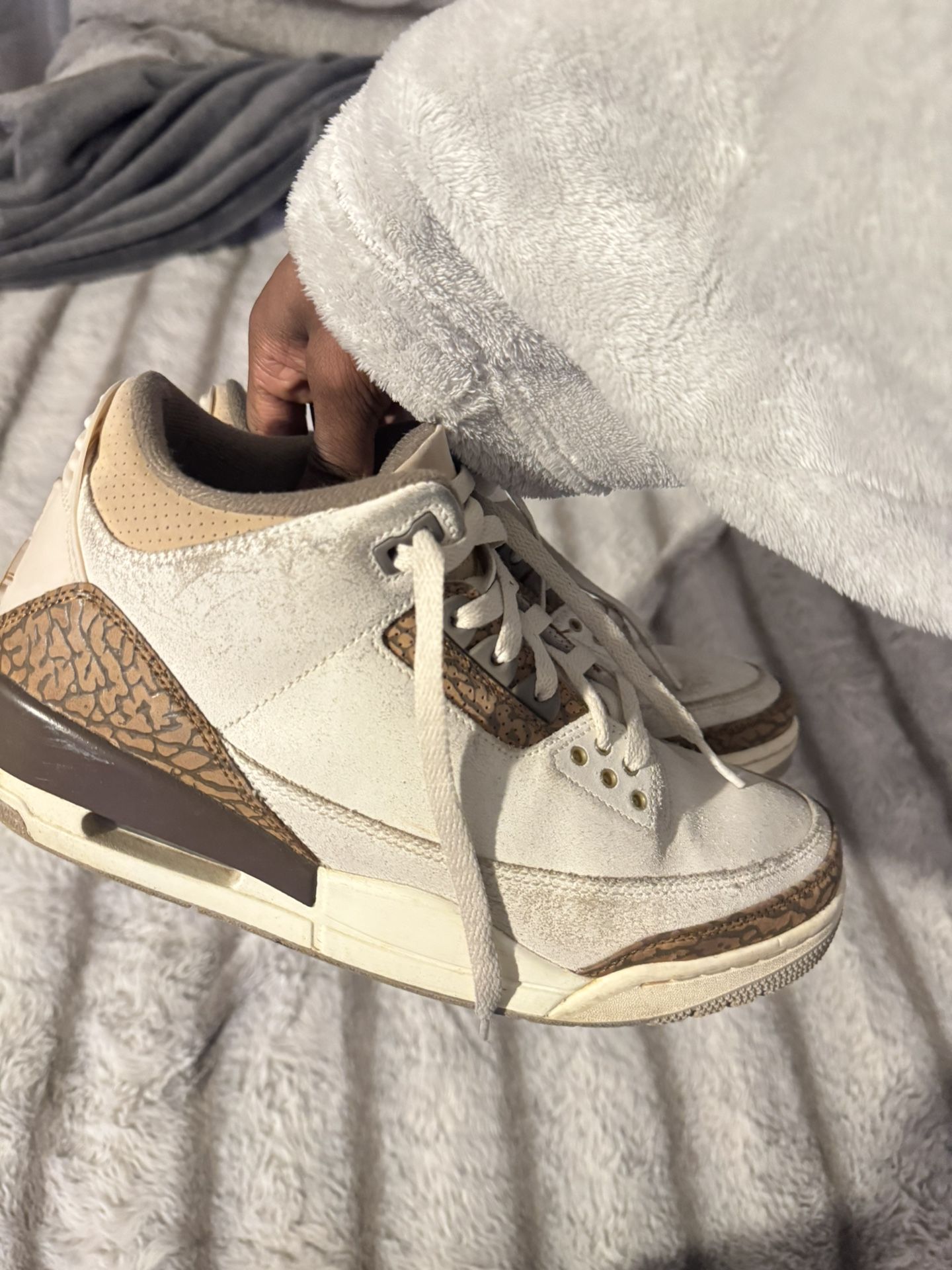 Jordan 3s