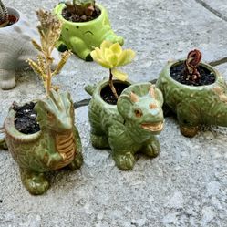 🔥 🦕 Dinosaur Planter w Succulent Plant 🪴 