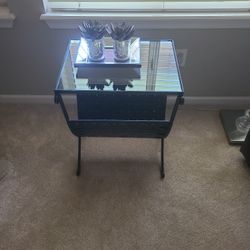 Accent Magazine Table With Mirror Tray and 2 Succulents 