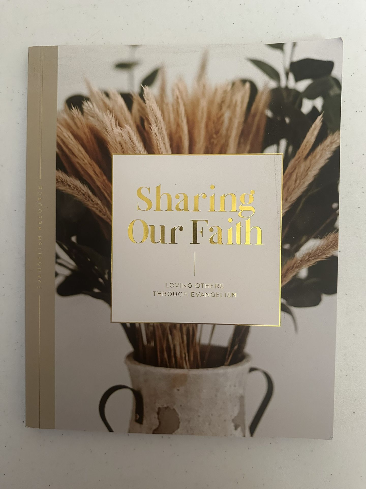The Daily Grace Books, Pins & Stickers