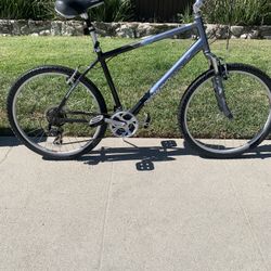 Diamondback Wildwood 19 Inch Bicycle
