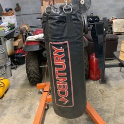 Punching Bag And Gloves