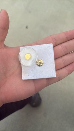 Real gold coin and earring