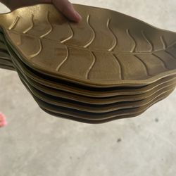 5 Trays
