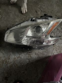 2014 Nissan Headlight 