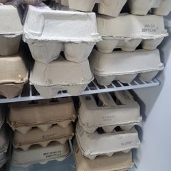 Organic eggs
