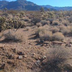 1 acre land in AZ. Bring Your RV. Easy owner financing, no credit check.