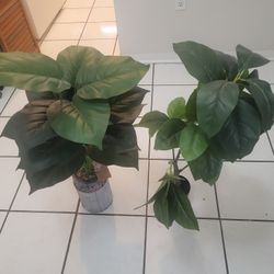 2 Plants Artificial