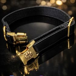 Luxury Custom Dog Collar + Engraved Tag (QR Code) – Same Day Delivery 661