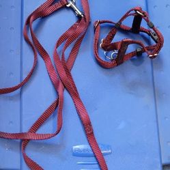 Small Dod Collar XS Harness 