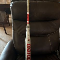 USSSA Bats CAT X and META 