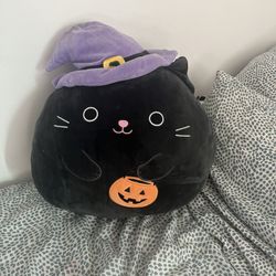 Black cat squishmellow