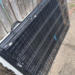 Large dog cage like new Xtra large