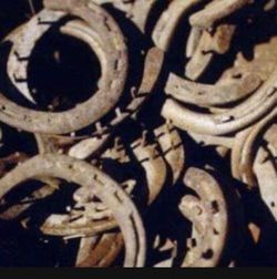 Horse Shoes