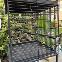 Large Rolling Bird Cage