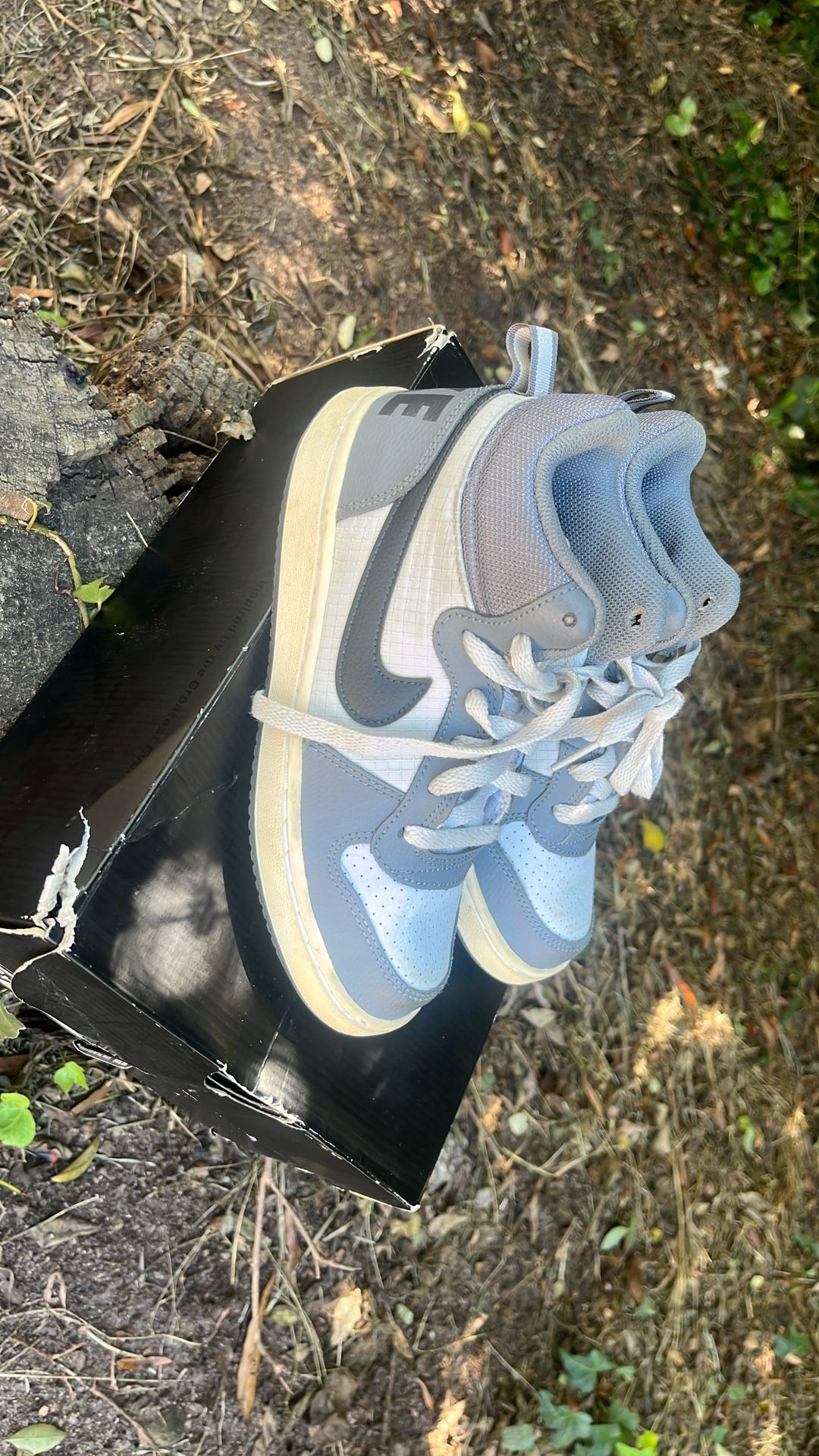 Nike Dunks