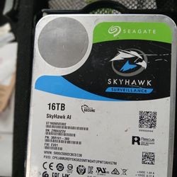 Seagate Skyhawk AI Surveillance 16 TB Harddrive