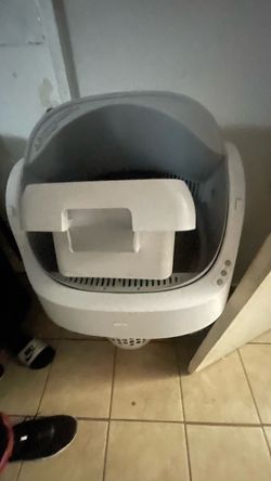 Kitty litter