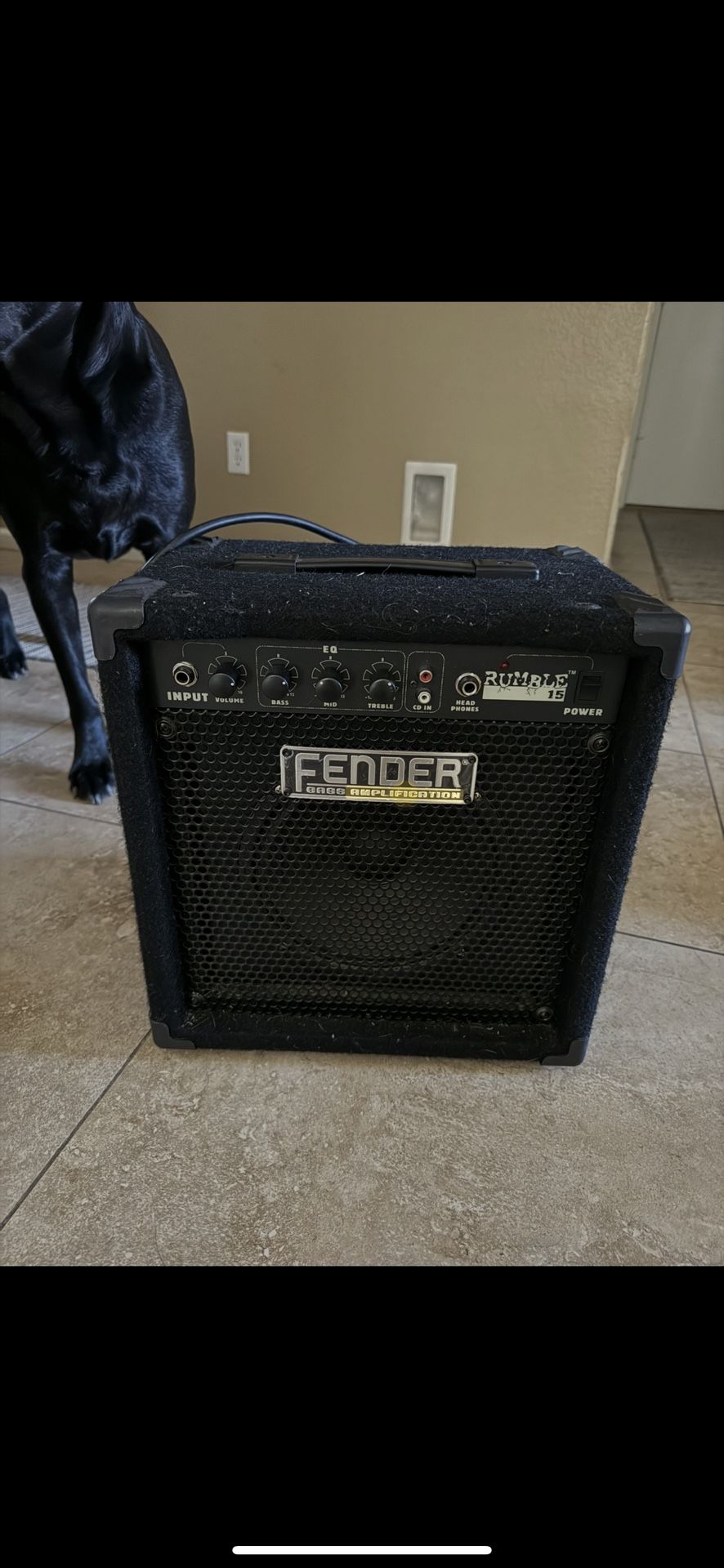Fender Rumble 15