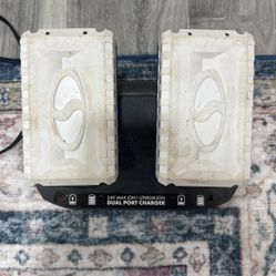Sun Joe Pair (2) 24V Batteries And Charger