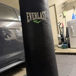 Everlast Punching Bag (80lbs)