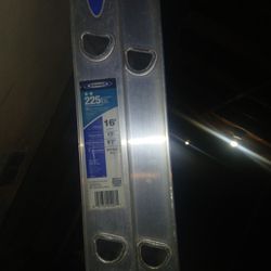 Werner 16 Ft Ladder 