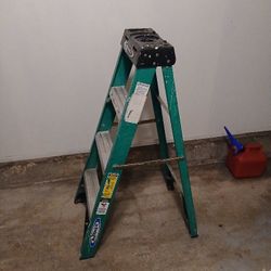 Werner 4ft Ladder