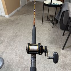 Ugly Stik/ Daiwa Sealine Fishing Setup