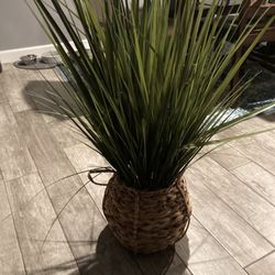 Artificial Plant 
