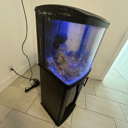 Free 16 G Salt Water