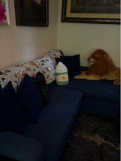 Blue  couch