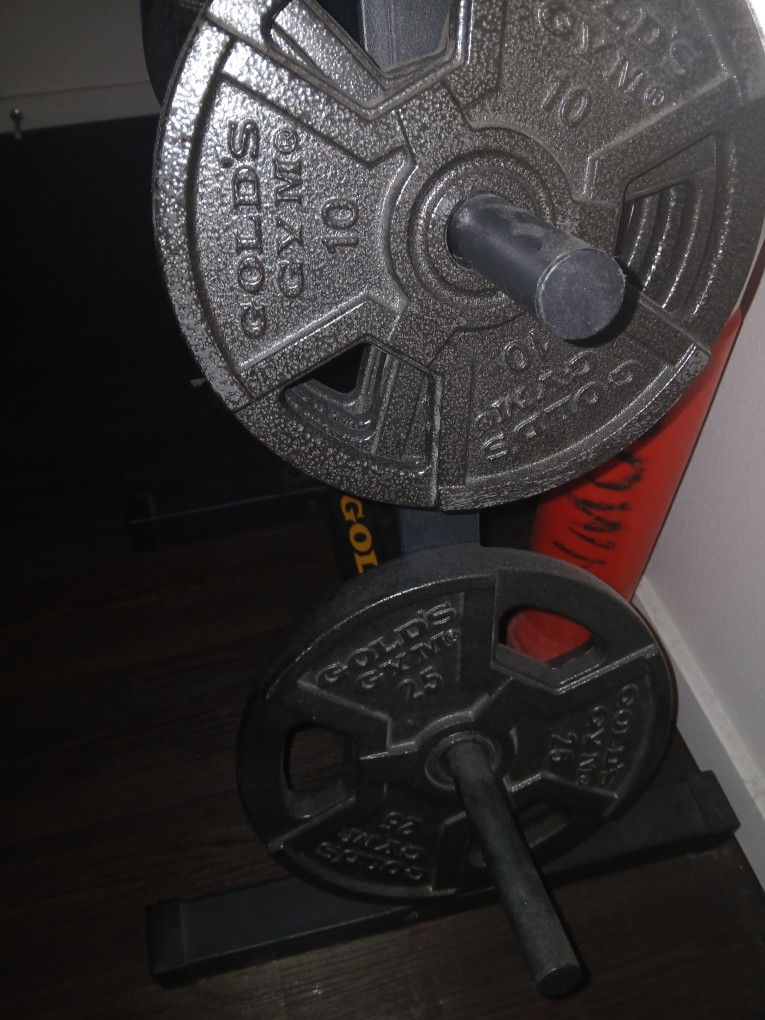 Golds Gym Weight Lifting Setup