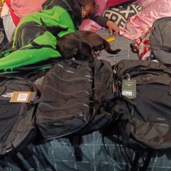Brand New Back Pack Plus Duffel Bag Plus Another Back Pack 150 For All 3