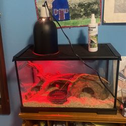 Snake Tank