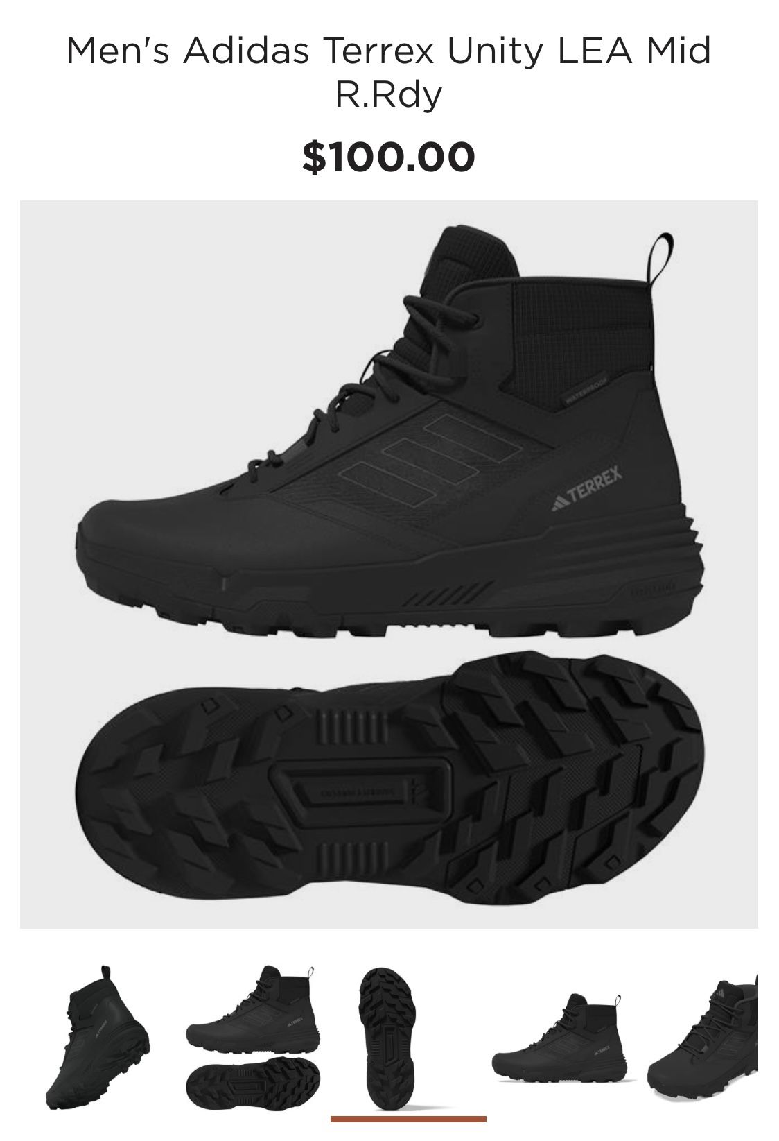 Adidas Terrain! Hiking Boots