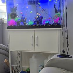 Fish Tank 30 Gallons