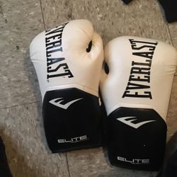 12 Oz Everlast Boxing Gloves 