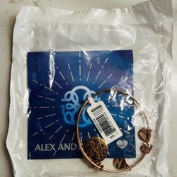 Alex and Ani “Path of Life” Color Infusion Charm Bangle - New with Tags in Original Packaging 