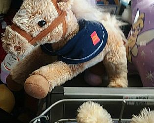 Small to Medium size horse