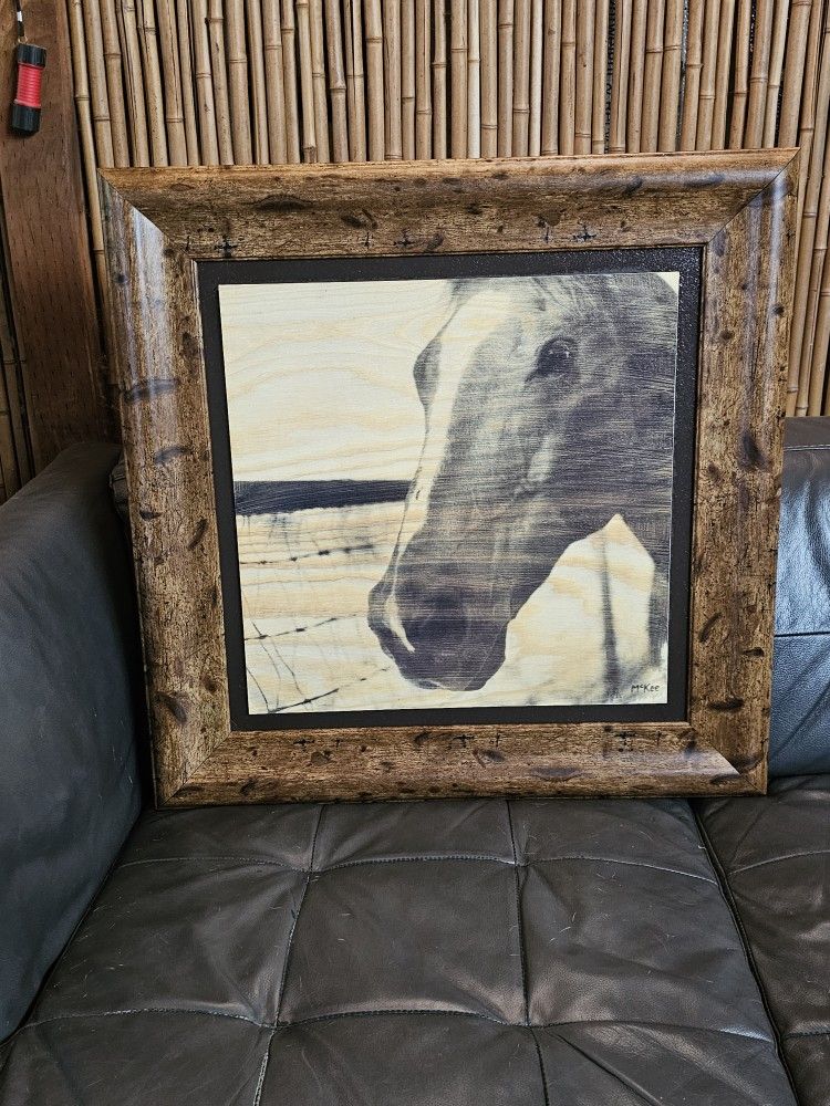 Western Horse Picture