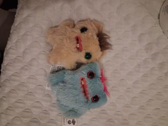 Two baby fugglers rare