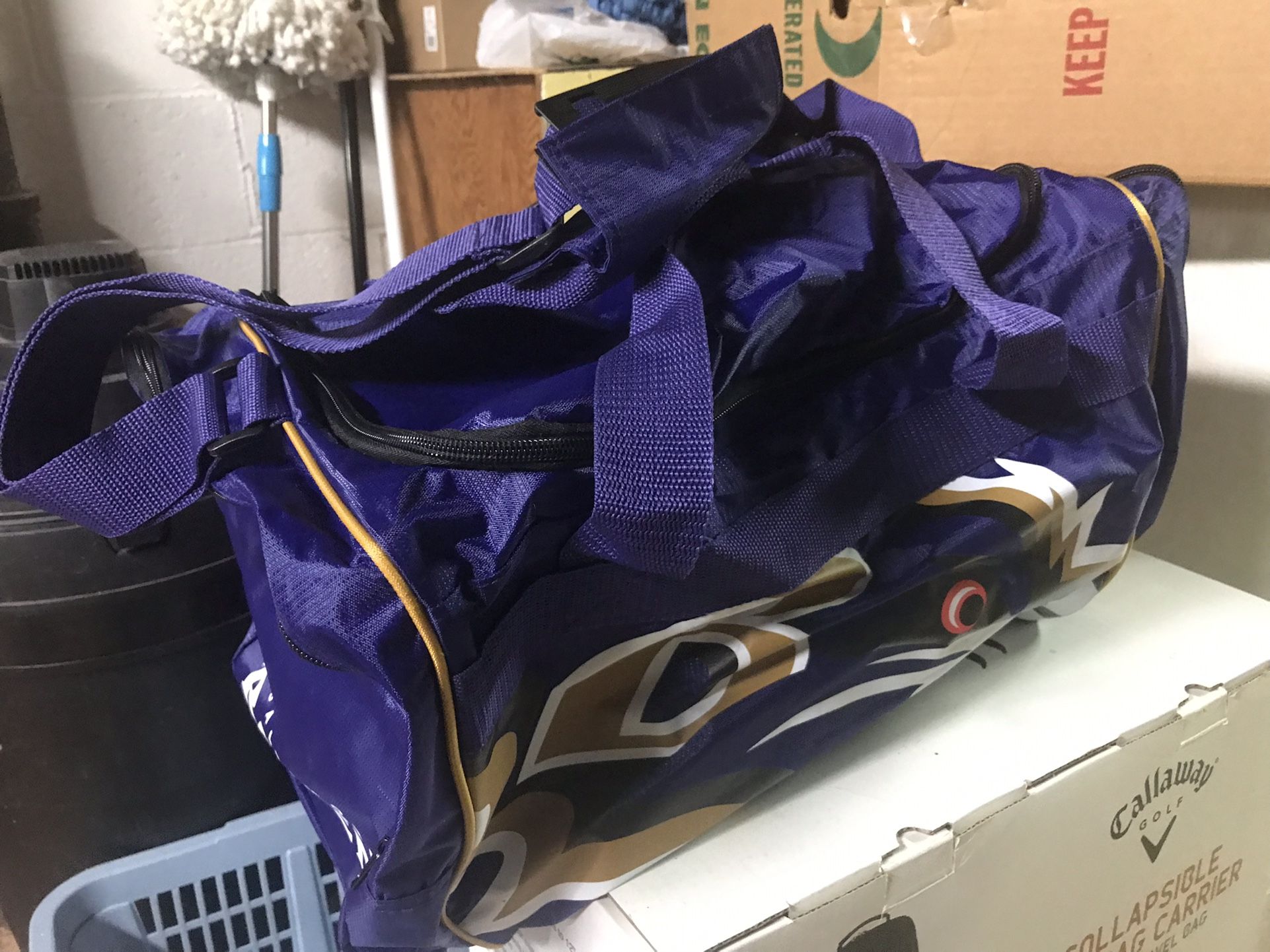 Large Ravens Tote Bag Only $20 Firm