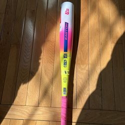 2026 Easton The Dub 2¾" USSSA Bat (-10)